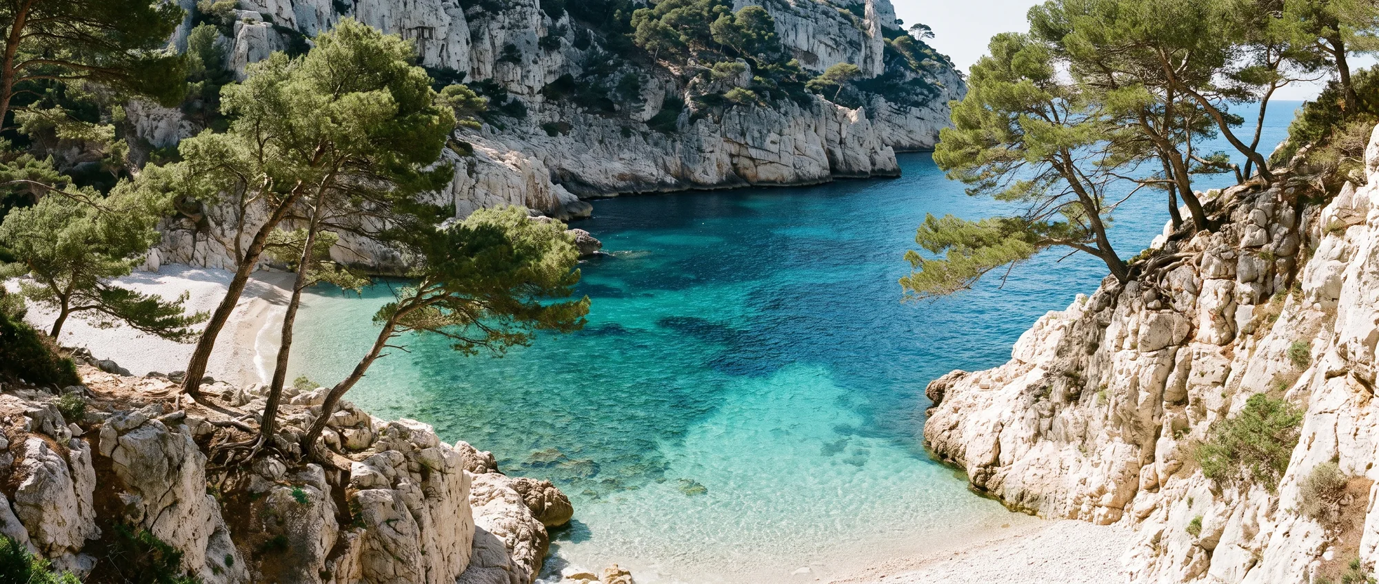 An empty cove on the Riviera, pines leaning out over clear water and a pebble shore.